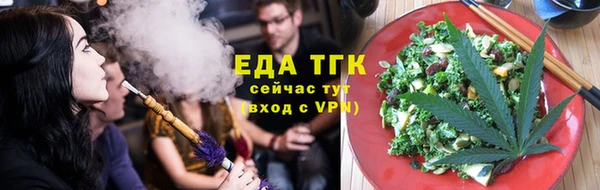 индика Верея