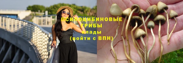 индика Верея