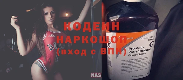 индика Верея