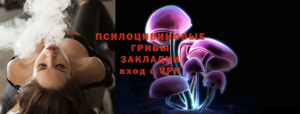 индика Верея