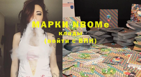 индика Верея