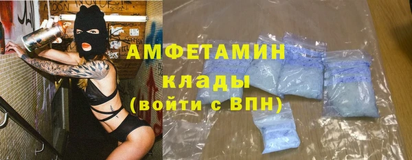 индика Верея