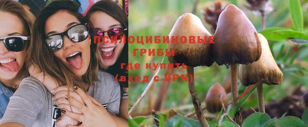 индика Верея