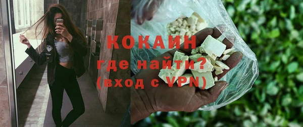 индика Верея